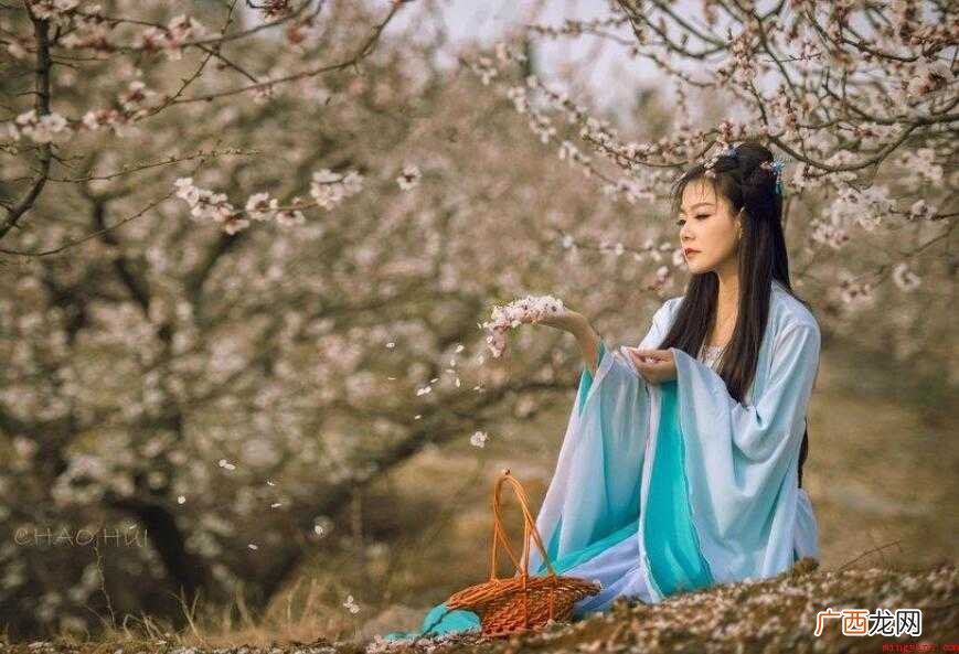 红楼梦的《葬花吟》的歌词是什么