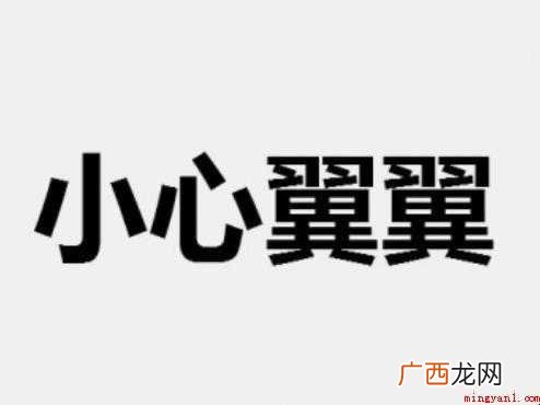 小心翼翼的反义词是什么
