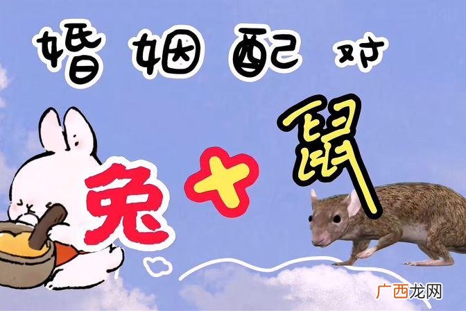 鼠兔情缘是否合拍？ 男鼠女兔相配吗