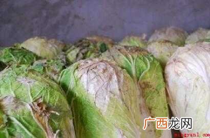 辣白菜怎样腌制