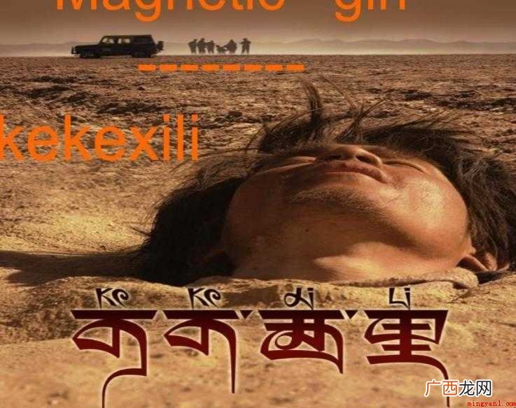 《可可可西里》电影主要讲了什么 《可可西里》电影主要讲了什么