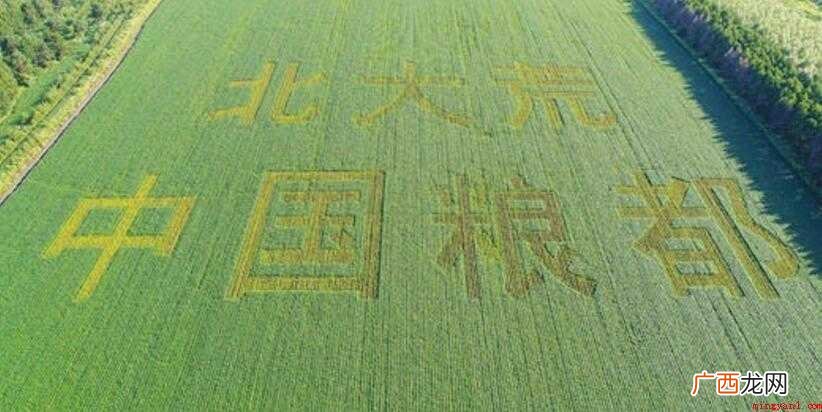 北大荒精神的主要内容是什么
