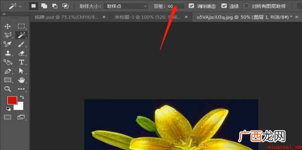 如何用PS快速做出白底图