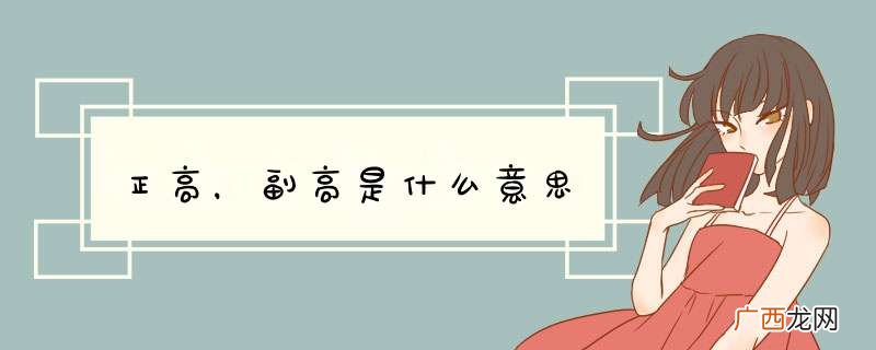 正高，副高是什么意思