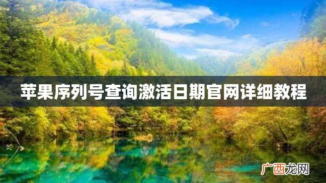 苹果序列号查询激活日期官网详细教程