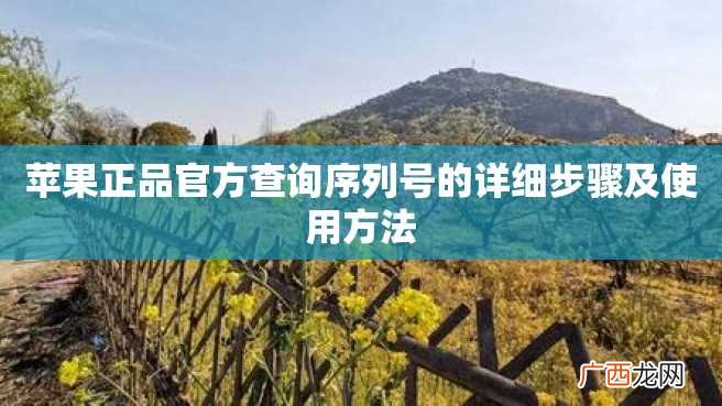 苹果正品官方查询序列号的详细步骤及使用方法