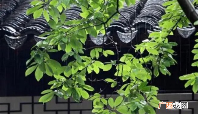 ?小暑节气就出梅了吗 什么是出梅