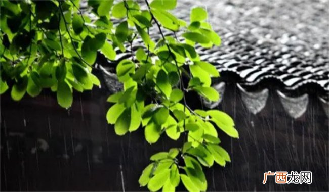 ?小暑节气就出梅了吗 什么是出梅