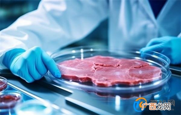 继新加坡之后 实验室培育肉获准在美销售和生产_酷知科普