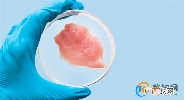 继新加坡之后 实验室培育肉获准在美销售和生产_酷知科普