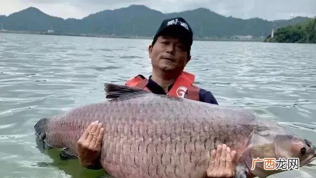 了解一下当下最受欢迎的钓鱼达人 钓鱼大师排名