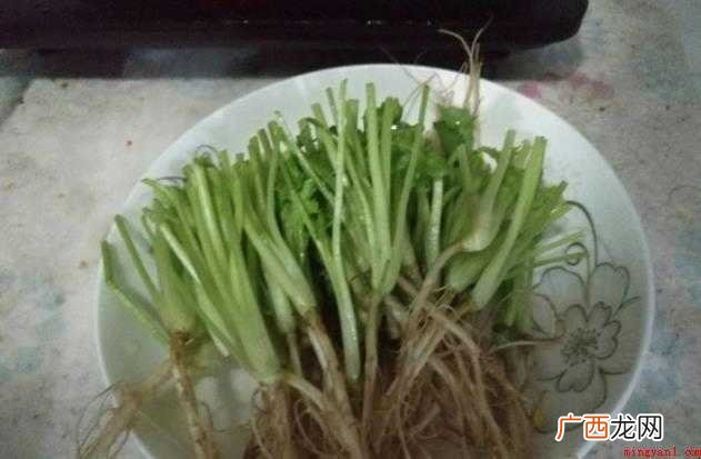 番茄牛肉的做法是什么