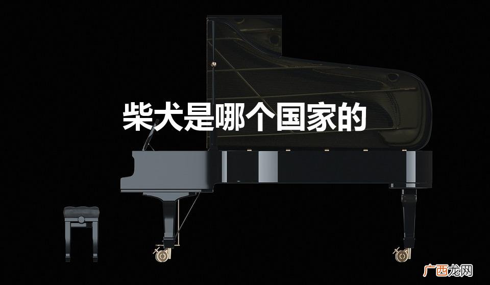 柴犬是哪个国家的（柴犬是哪个国家的外号)
