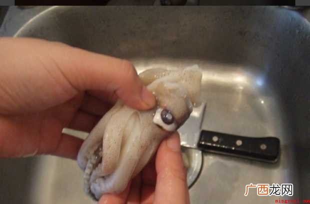 鱿鱼长成这样,怎样处理呢 鱿鱼怎样清洗