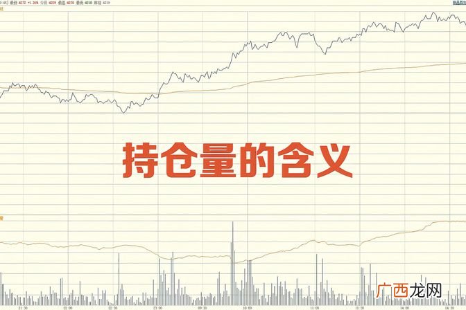 持仓定义及股票交易中相关术语解析 持仓是什么意思