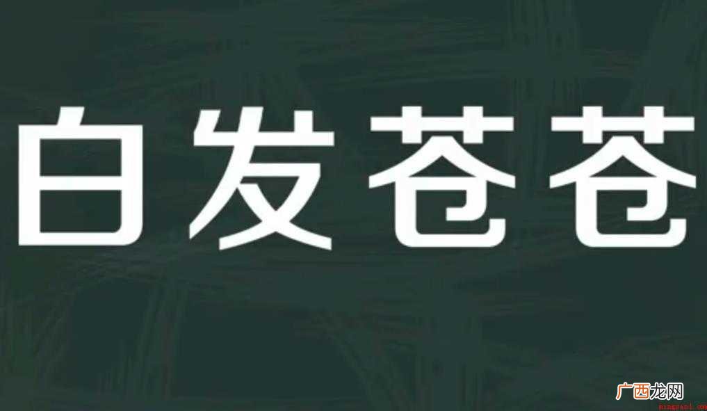 白发苍苍的意思是什么