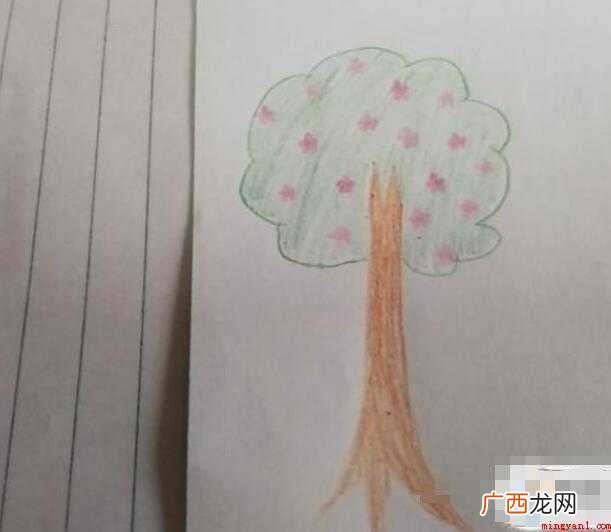 简笔画春天的画怎么画