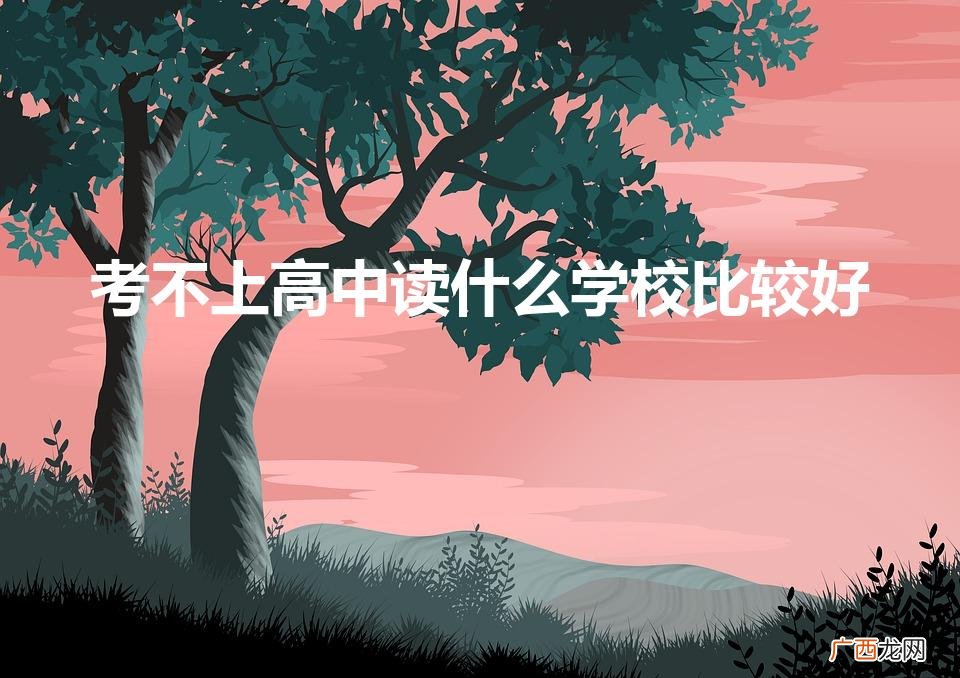考不上高中读什么学校比较好（考不上高中读什么学校比较好甘肃)