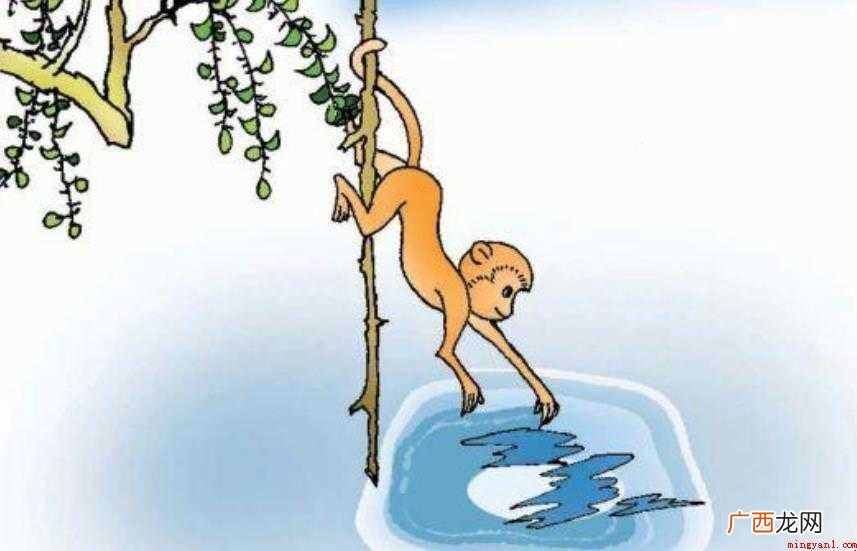 海底捞月是什么意思