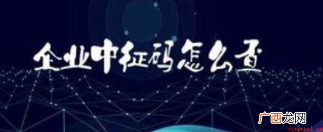 企业中征码怎么查