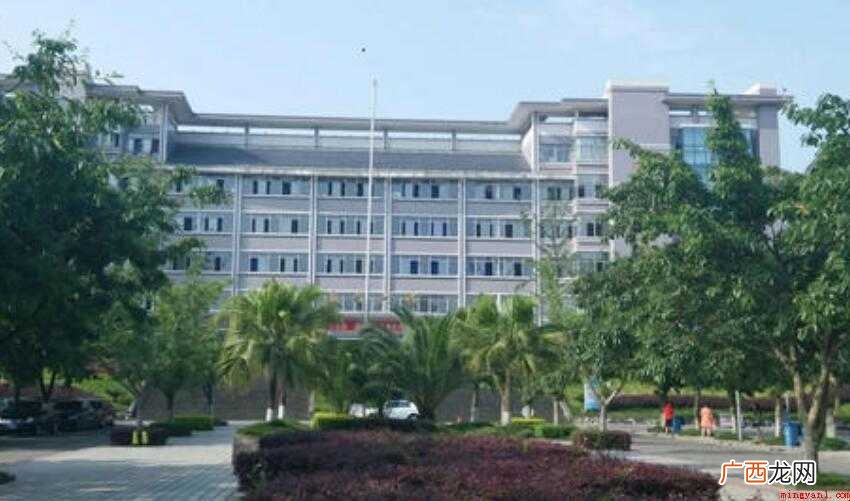 眉山职业技术学院是公办还是民办大学