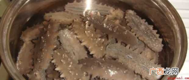 干海参怎样发泡