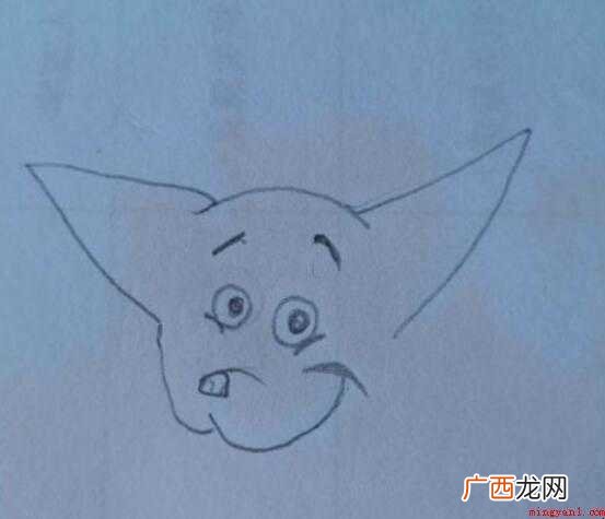 如何画吉娃娃简笔画