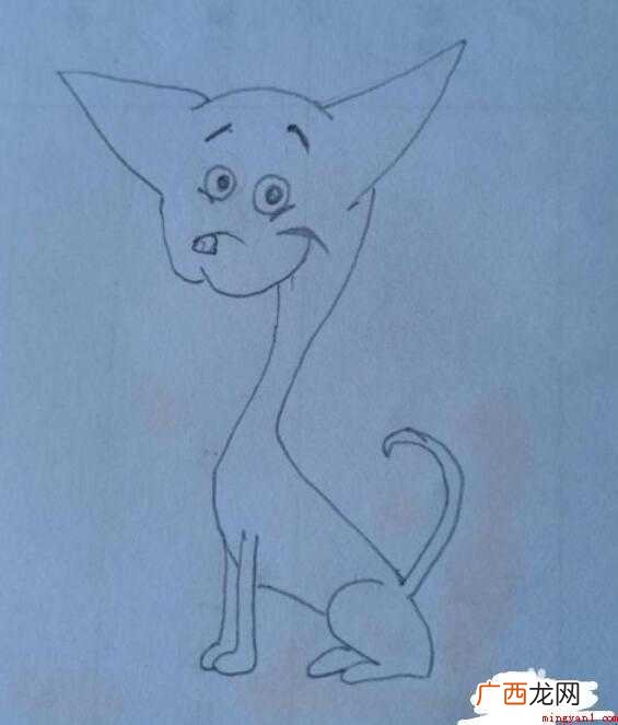如何画吉娃娃简笔画
