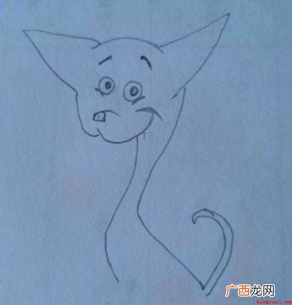 如何画吉娃娃简笔画