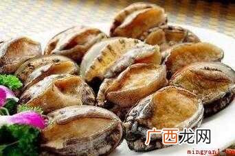 家常鲍鱼怎样做【图文】 家常鲍鱼怎样做