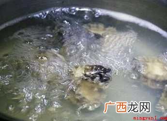 家常鲍鱼怎样做【图文】 家常鲍鱼怎样做