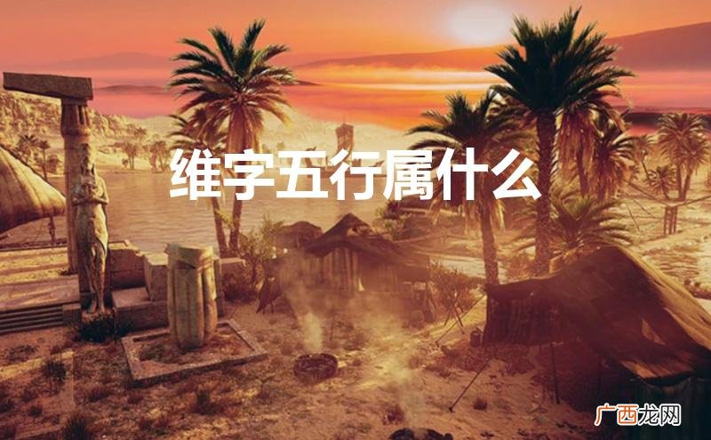 男孩名孔维余怎么样 维字五行属什么