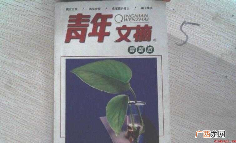 《青年文摘》经典语录有哪些
