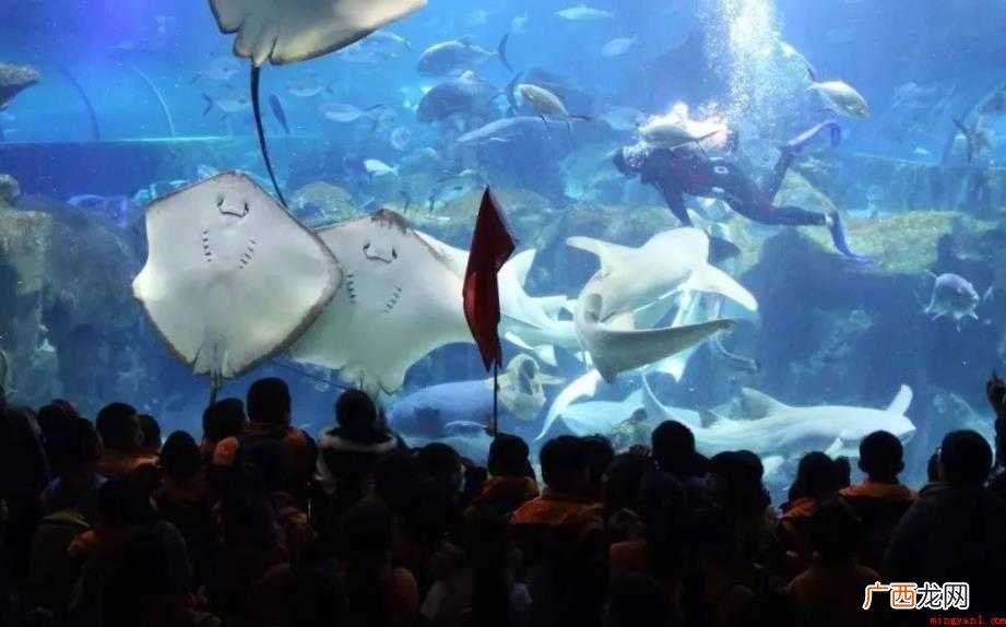 长沙海底世界主要景点有哪些