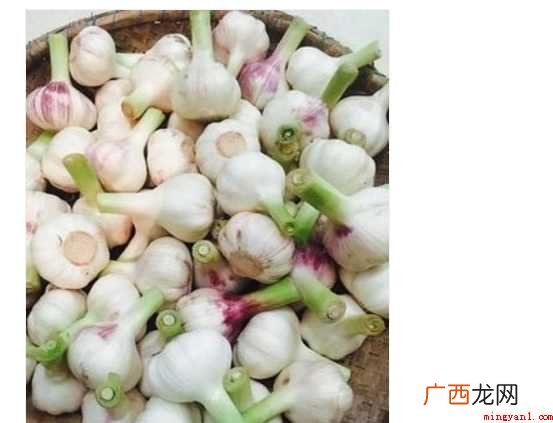 醋泡大蒜怎样做