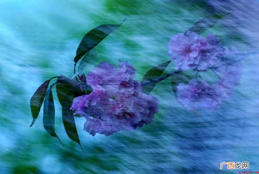 风雨飘摇是什么意思 成语用法 风雨飘摇是什么意思