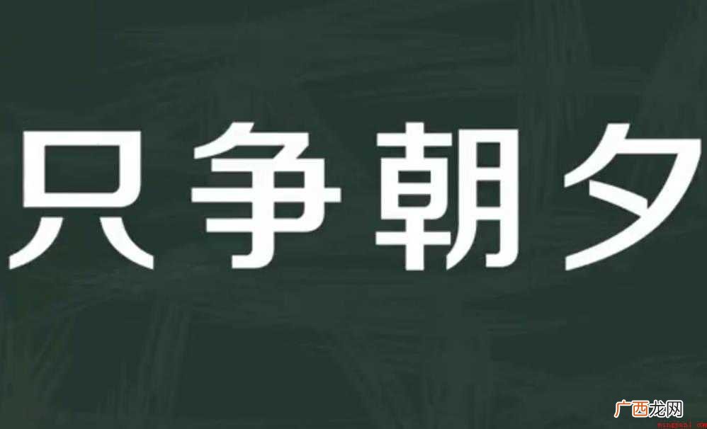 只争朝夕的意思是什么