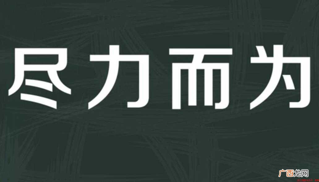 尽力而为的意思是什么