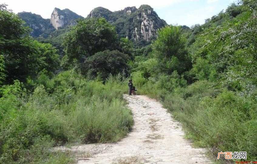 羊肠小道是什么意思 感兴趣的网友们 羊肠小道是什么意思