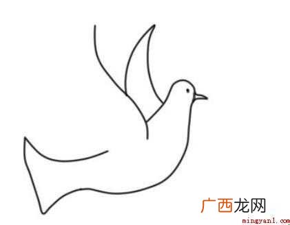 白鸽简笔画怎么画 画鸽子的身体部分 白鸽简笔画怎么画