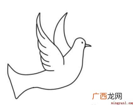 白鸽简笔画怎么画 画鸽子的身体部分 白鸽简笔画怎么画