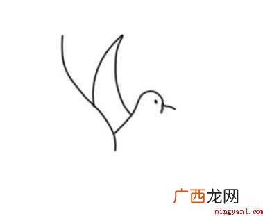 白鸽简笔画怎么画 画鸽子的身体部分 白鸽简笔画怎么画