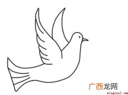白鸽简笔画怎么画 画鸽子的身体部分 白鸽简笔画怎么画