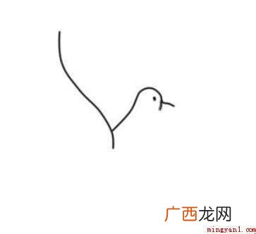 白鸽简笔画怎么画 画鸽子的身体部分 白鸽简笔画怎么画