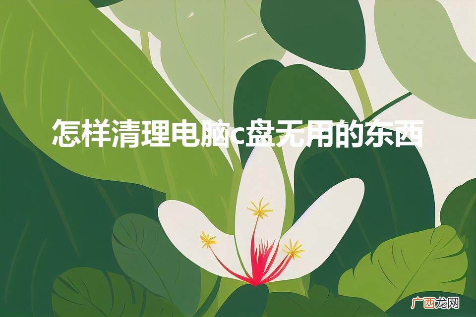 怎样清理电脑c盘无用的东西（怎么删除c盘中没用的文件)