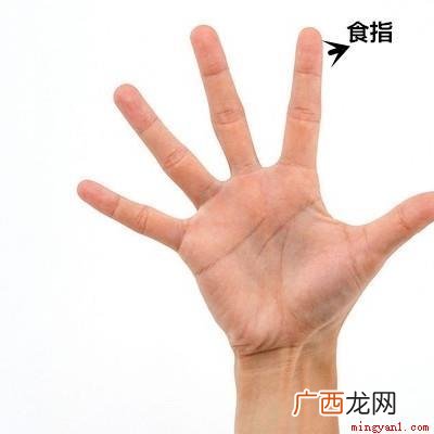 食指是哪个手指按摩时要注意快速擦动 食指是哪个手指