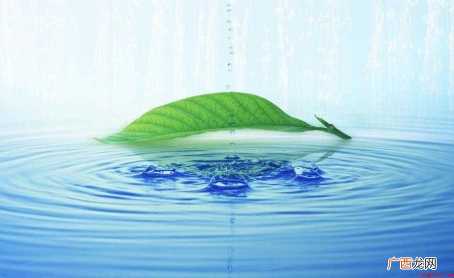 生命之源有什么重要性