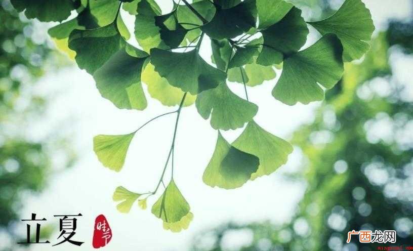 立夏古诗有哪些 太阳到达黄经45度时为立夏 立夏古诗有哪些