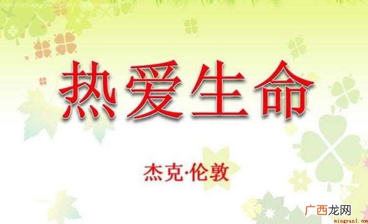 《热爱生命》读后感范文 《热爱生命》读后感怎么写