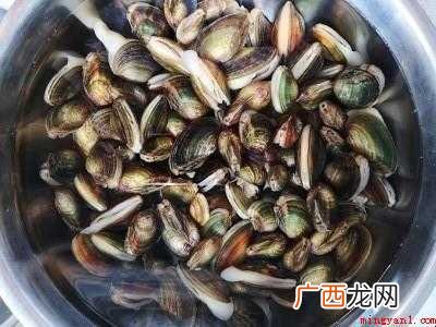 河蚌怎样做好吃